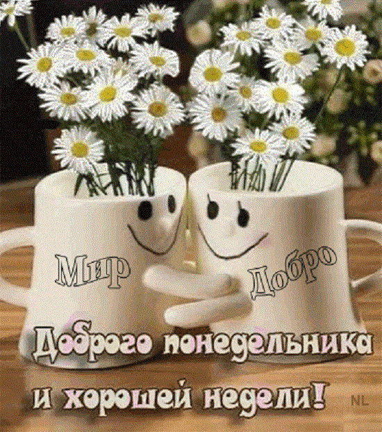 Удачной недели!