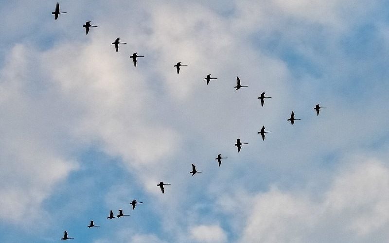 Вся напролет сухая нынче осень...