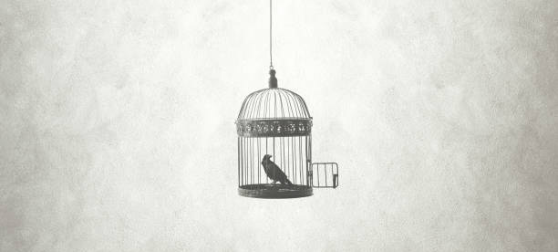 Свобода выбора