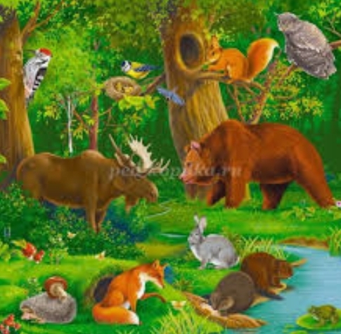 Басня о том и о сём. часть 1