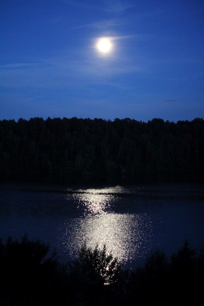 Луна озера ночи. Ночное озеро. Озеро ночью. Река ночью. Лунная ночь над озером.