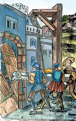 Гол, как сокол