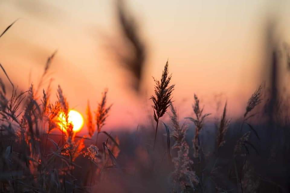 Ты здесь в гостях...