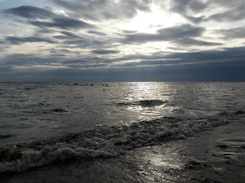 О, перелетных стай святая сила!