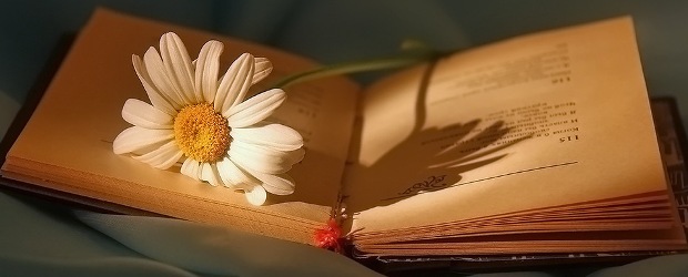 Читатель мой, я - скромный стихотворец...