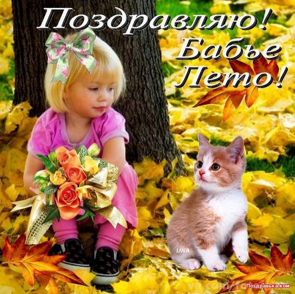 Котейка - Осень