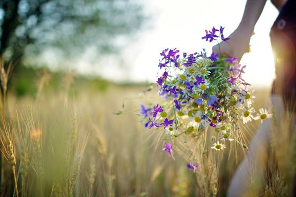 Жаль, что сегодня печально