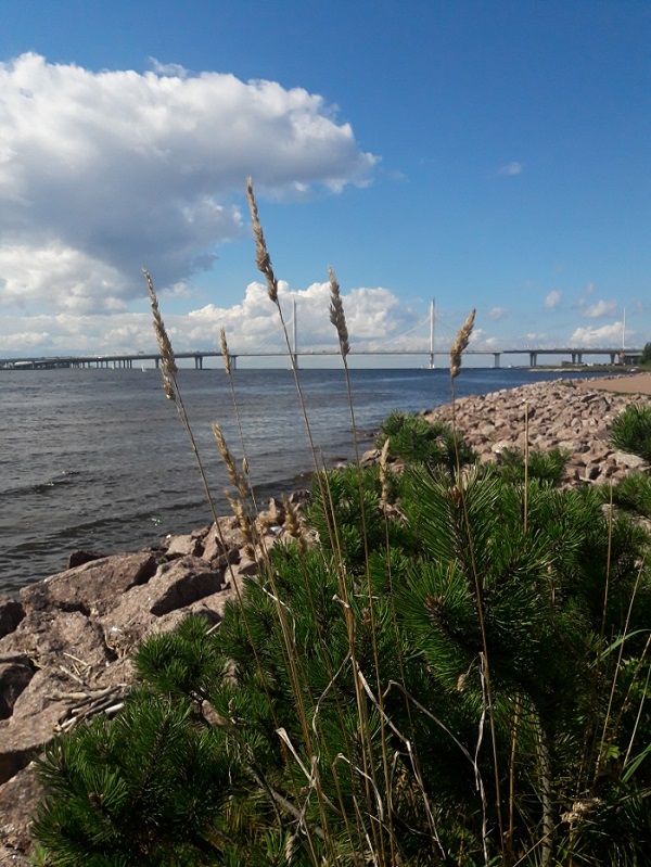 Ищу прибежище в душе