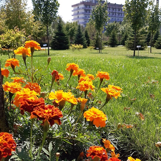 Осень не спеши