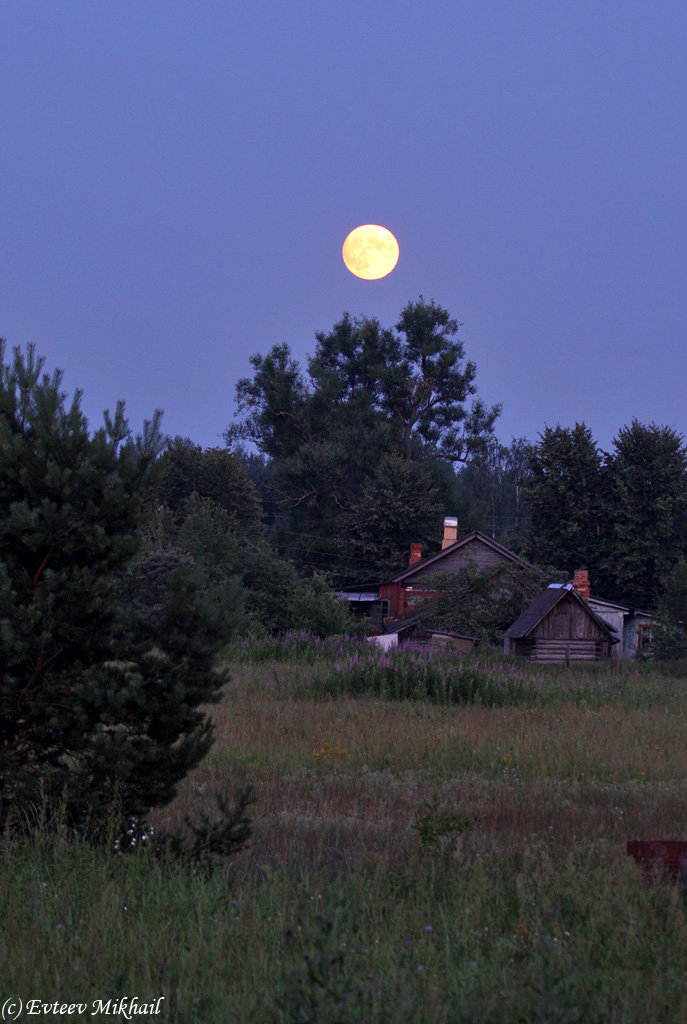 День и ночь деревня. Летняя ночь в деревне. Лунная ночь в деревне. Луна в деревне. Ночь в деревне летом.