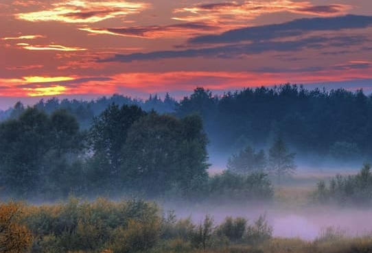 Туманные рассветы Сентября