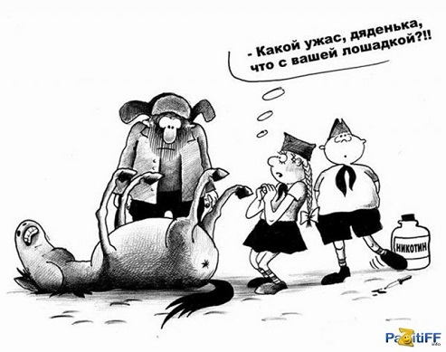 Песец