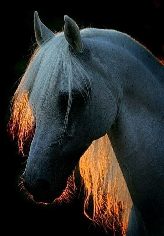 Справа лес и слева лес