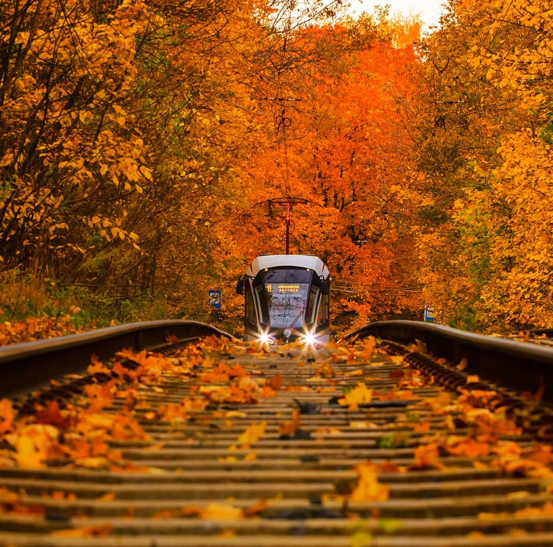 Осенний останавливаться. Осенний поезд. Осенний трамвай. Поезд осень. Трамвай осень.