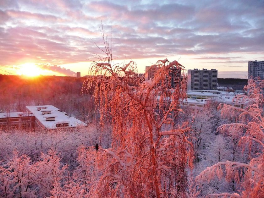 Розовое утро