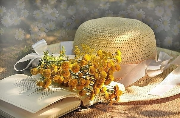 Подарки Лета