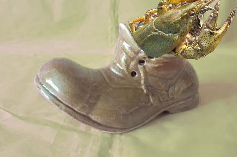 Новый дом