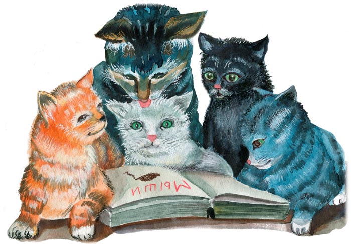 Котята
