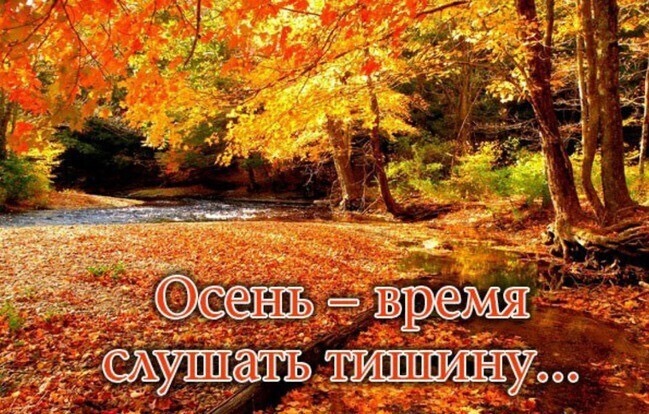 Моя осень, постой, не спеши