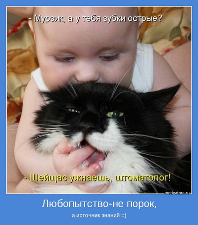 Люблю я их!
