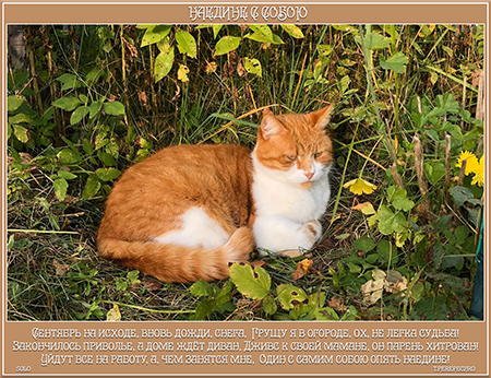 Наедине с собою