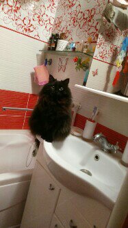 Замок изо льда