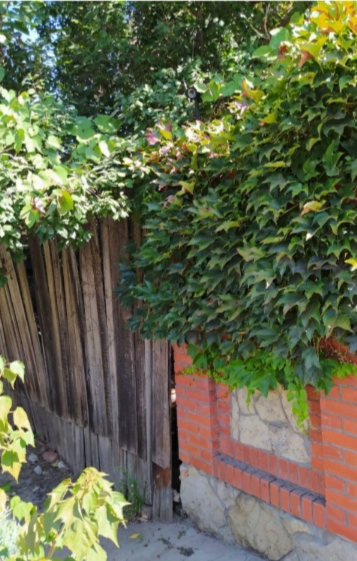 Стояли рядом два забора