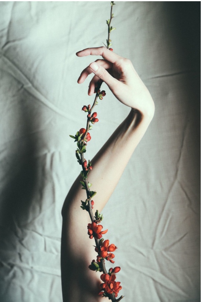 Дай разочаруюсь!