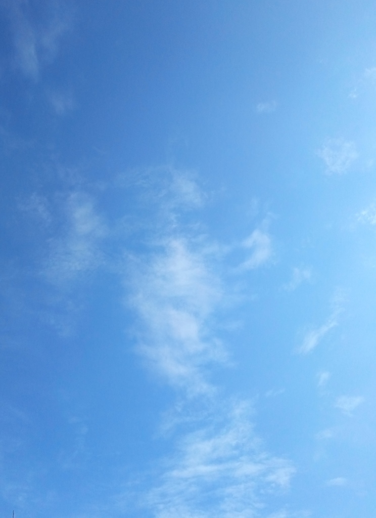 Откройся для Мира