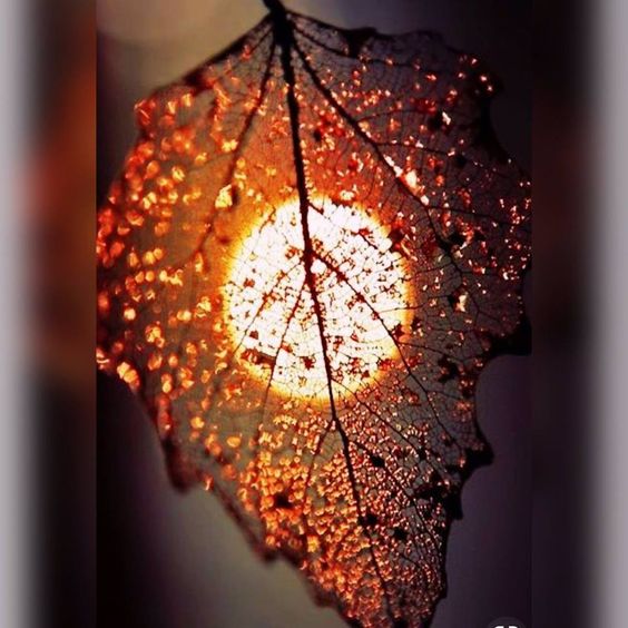 Падает лист