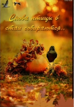 Листопад