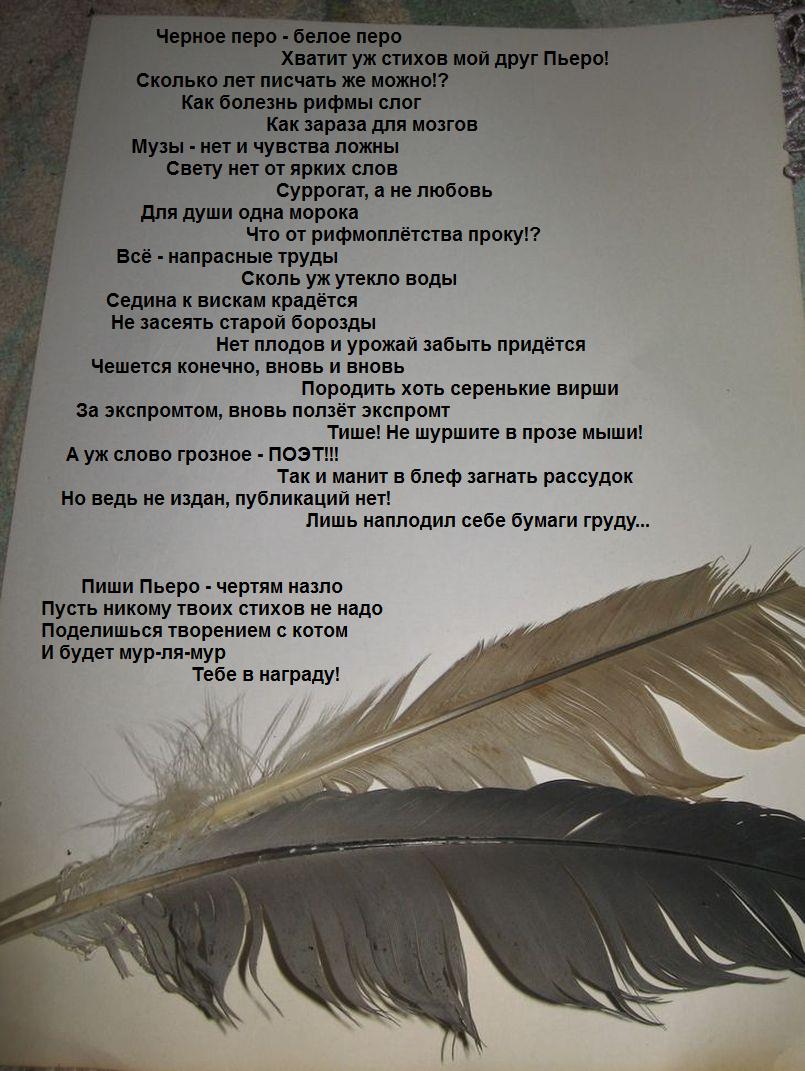 Стихи перо