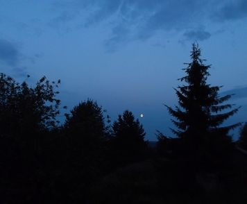 Сверкает роса полевая цветов...