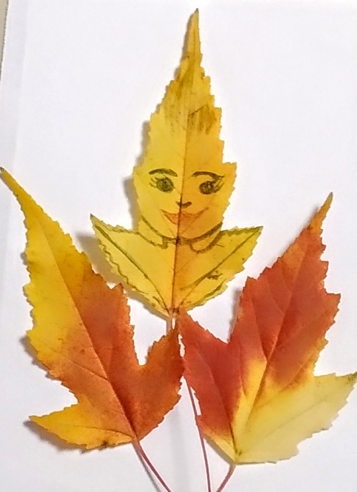 Кленовый лист