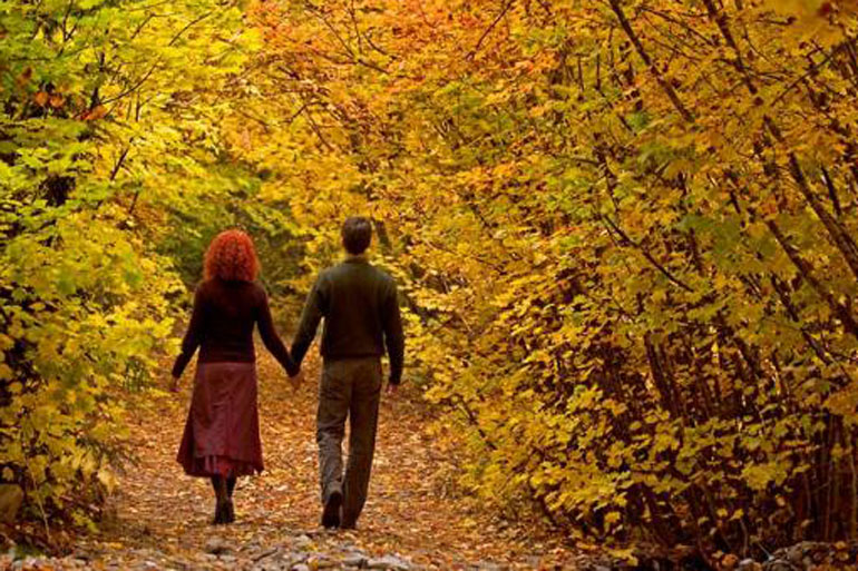 Осень романтичная пора
