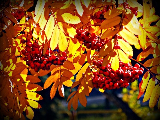 Я не могу иначе... акро зеркальный