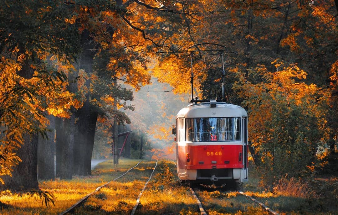 Трамвай желаний (Сергей Весенин) / Стихи.ру