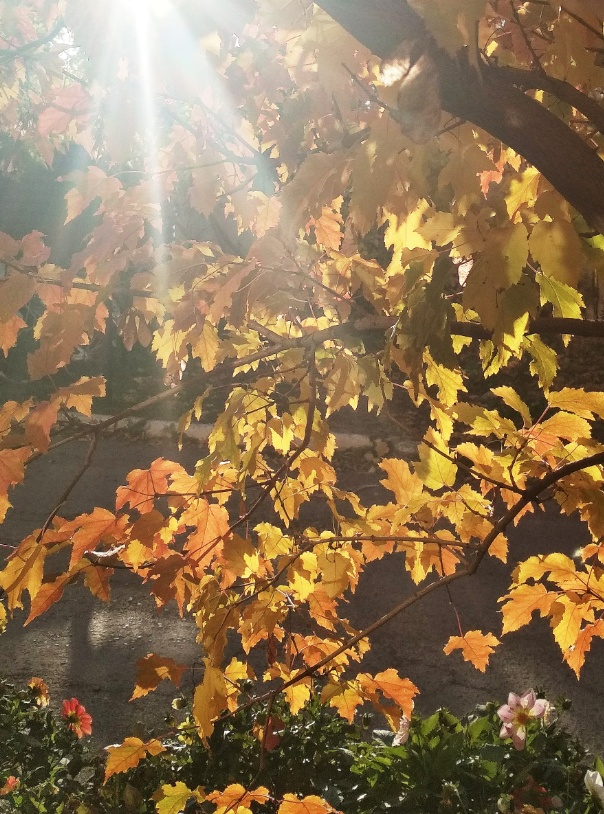 Осень на дворе