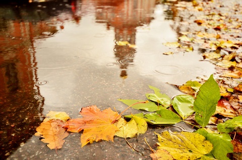 Как можно говорить...