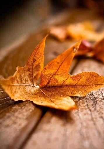 И опять по новой круговой