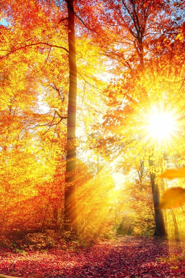 Светлый Миг (Бэл Роса) / Стихи.ру