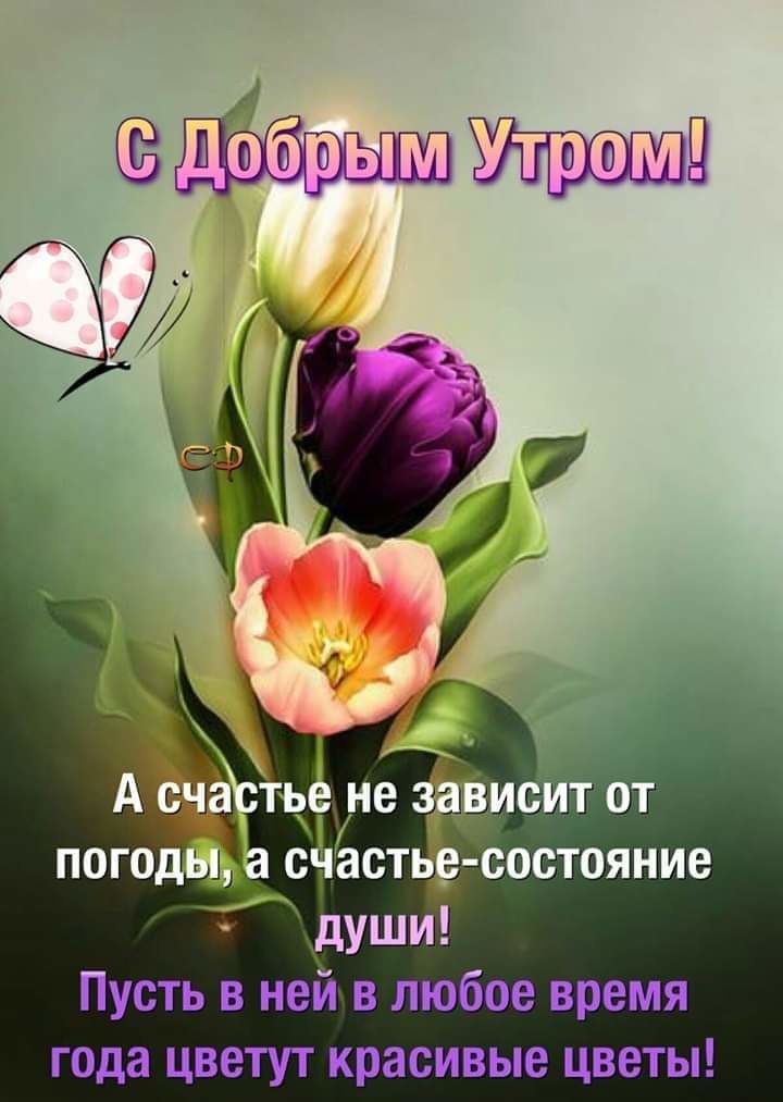 Полет величавой птицы (Любовь Парфенова) / Стихи.ру