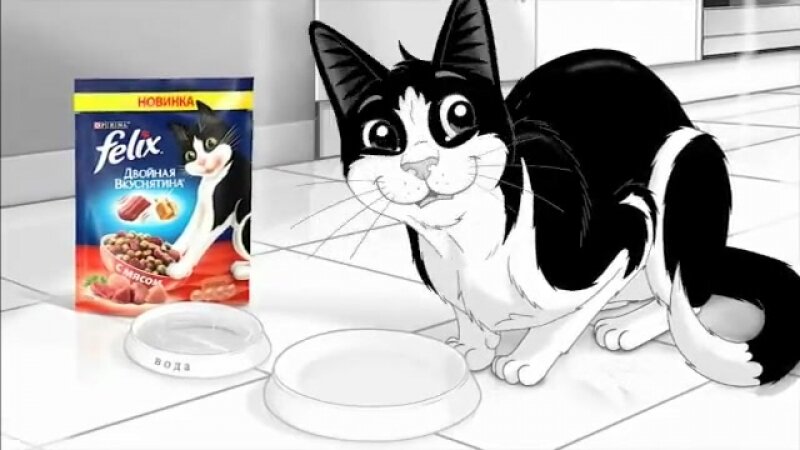 Феликс и кот