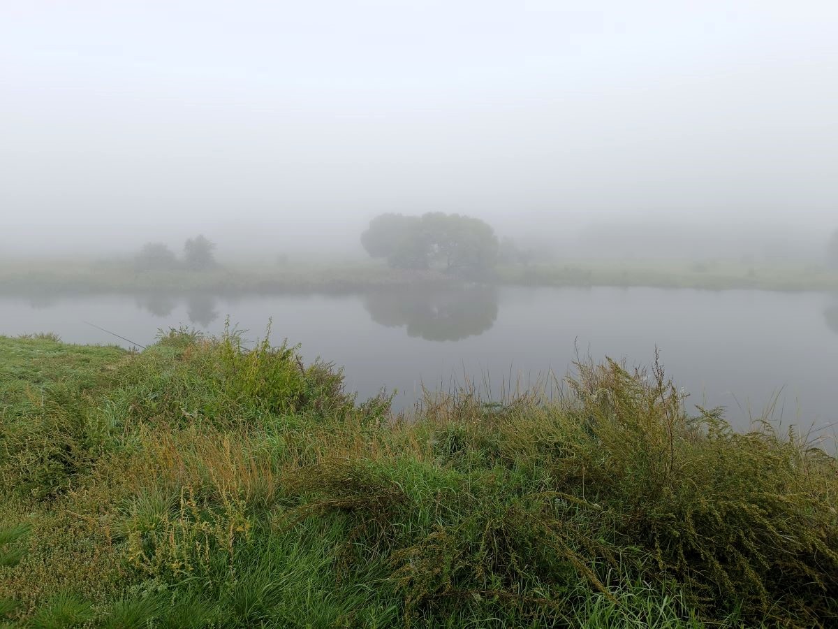 Кто знает, где...
