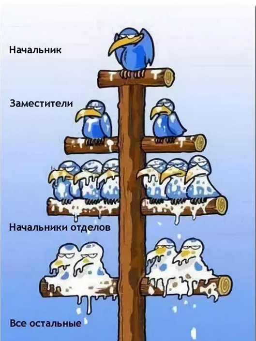 Жизнь-курятник