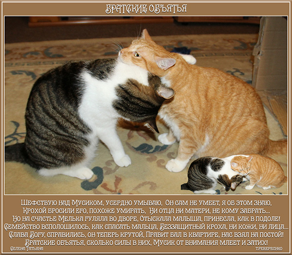 Братские объятья