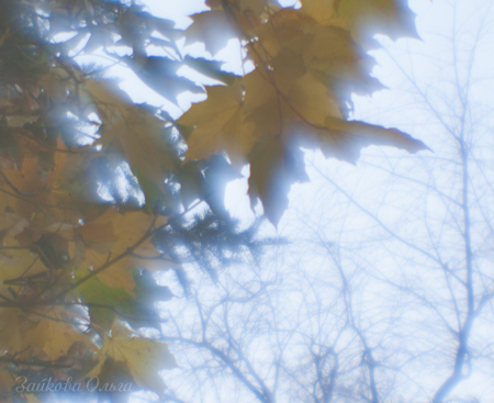 Осенний чай