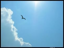 А у нас то солнечно, то ветер...