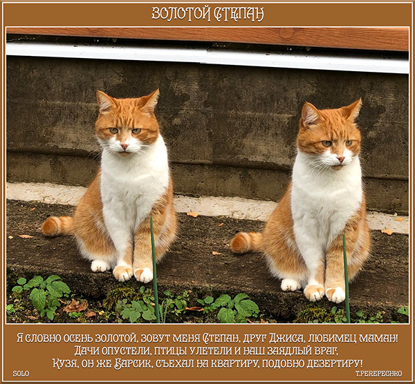 Золотой Степан