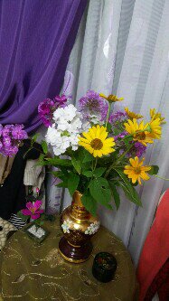 Ты, осень, не стучи в окошко